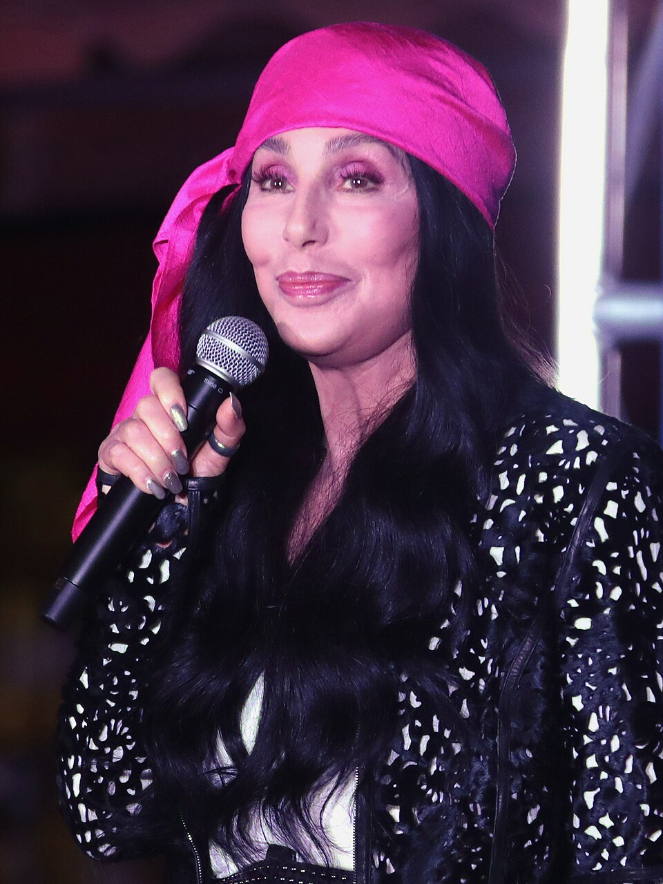 Portrait of Cher