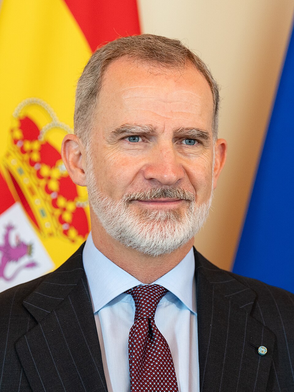 Portrait of Felipe VI