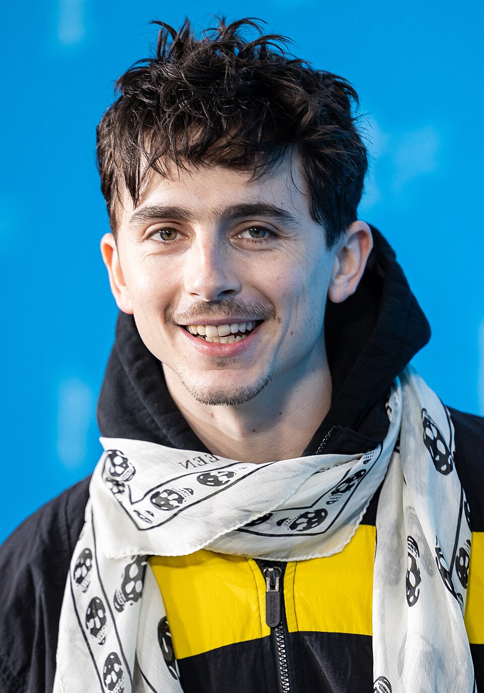 Portrait of Timothée Chalamet