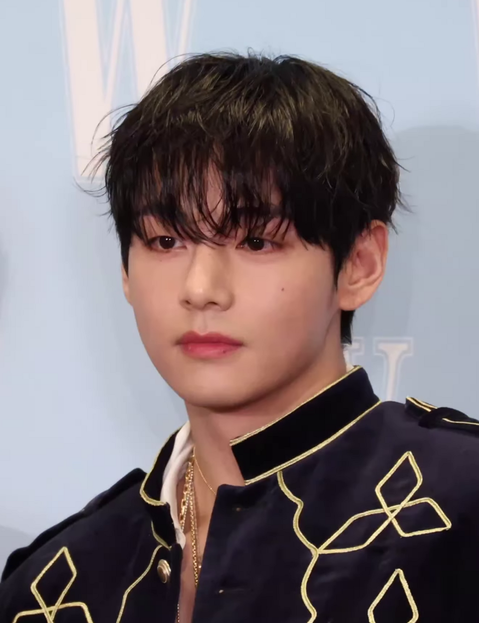 Portrait of V (BTS)